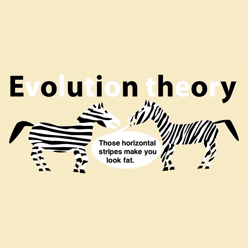 Evolution theory zebras