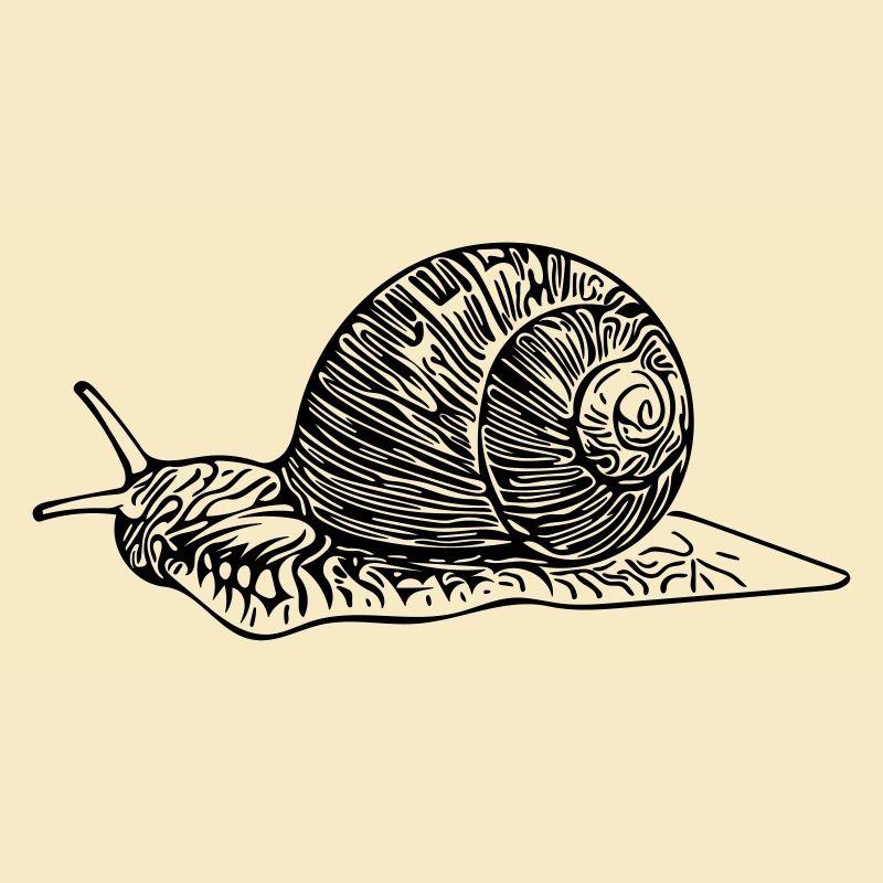 Schnecke