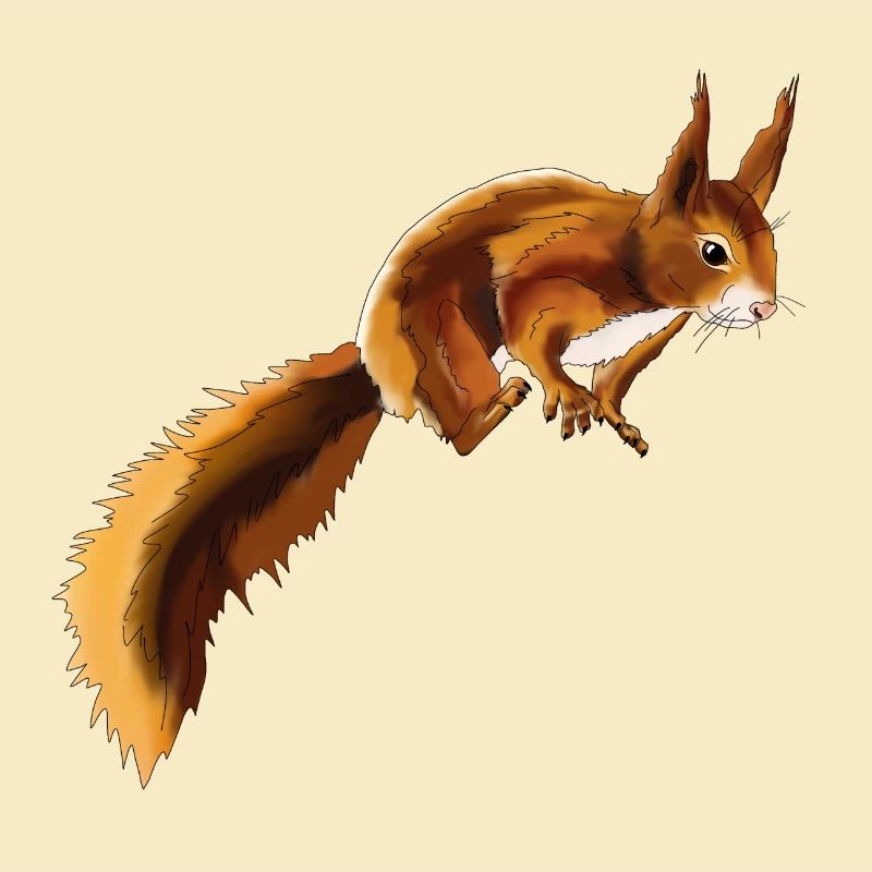 Squirrel 1