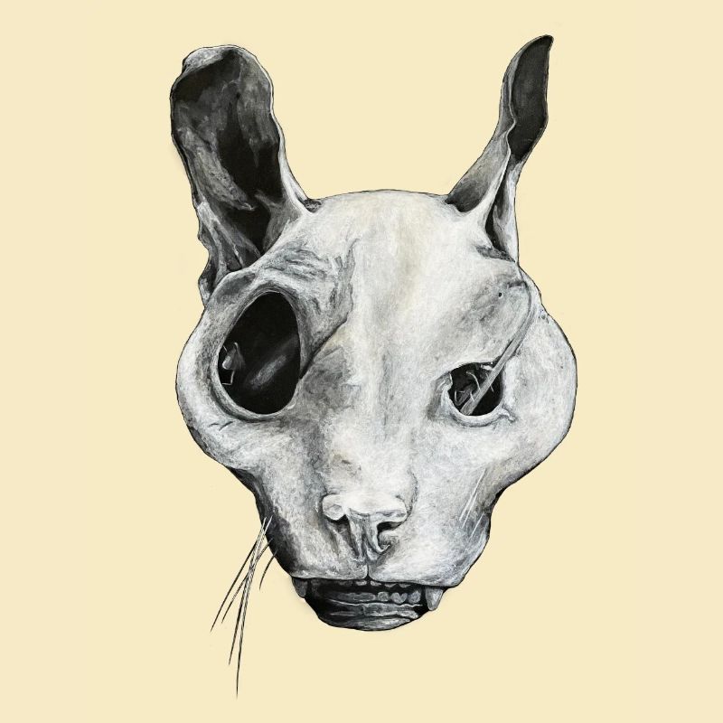THE GHOST CAT