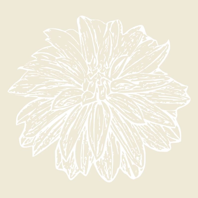 Fleur, Blanc, Fleur Blanche