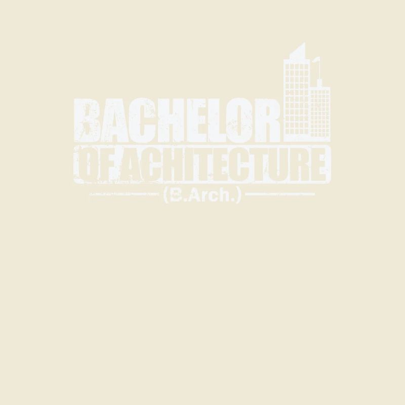 Licence d’architecture Baukunst
