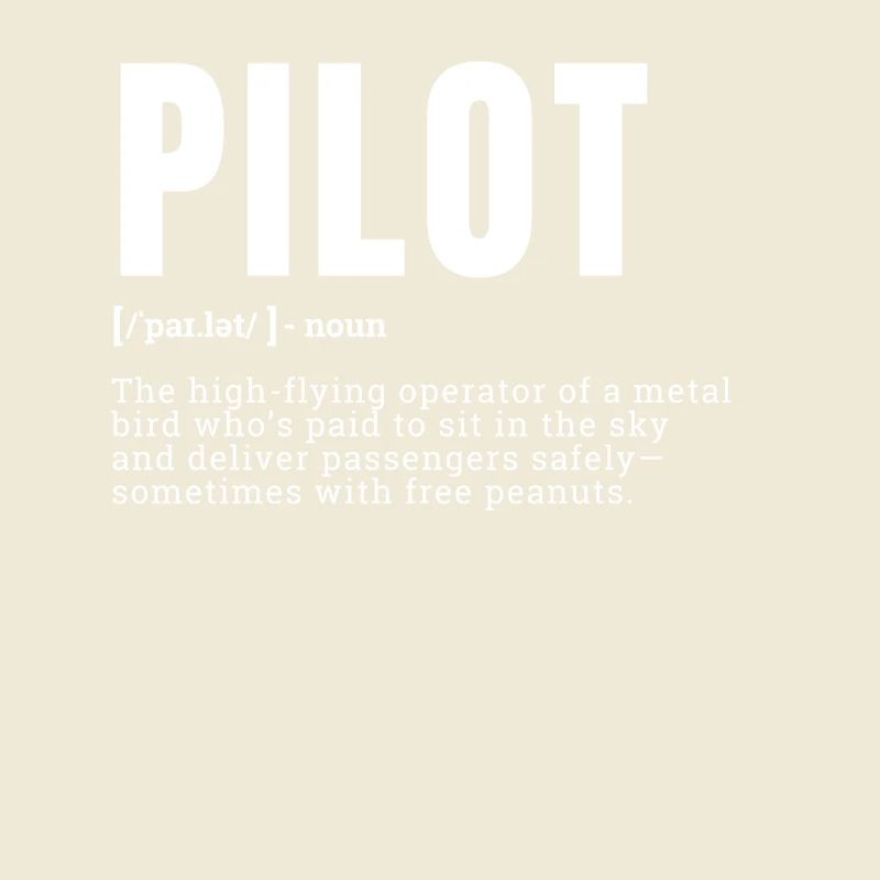 Funny Pilot Dictionary Définition Profession Occuper