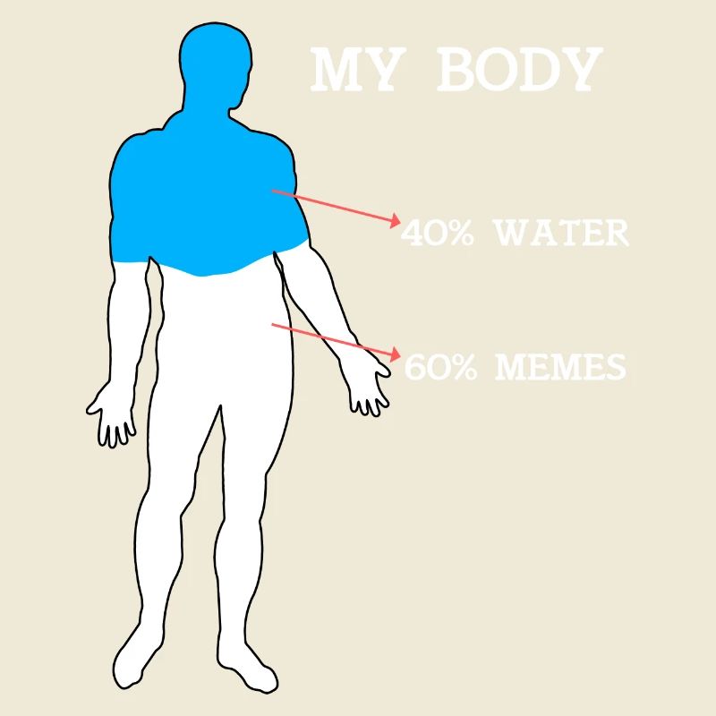 Funny Meme Mon Corps 40% Eau 60% Memes