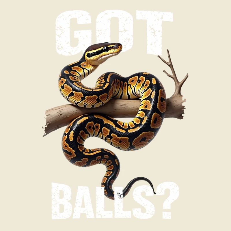 Python roi Serpents Amateurs de terrarium Python