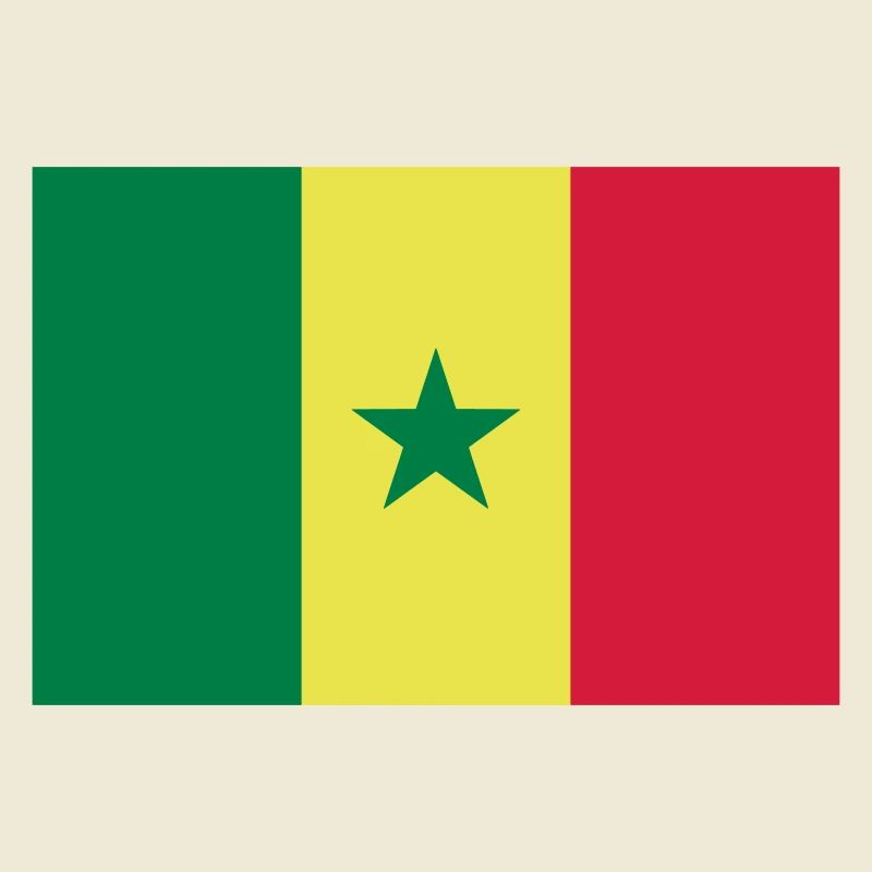 Drapeau Sénégal / Senegal flag