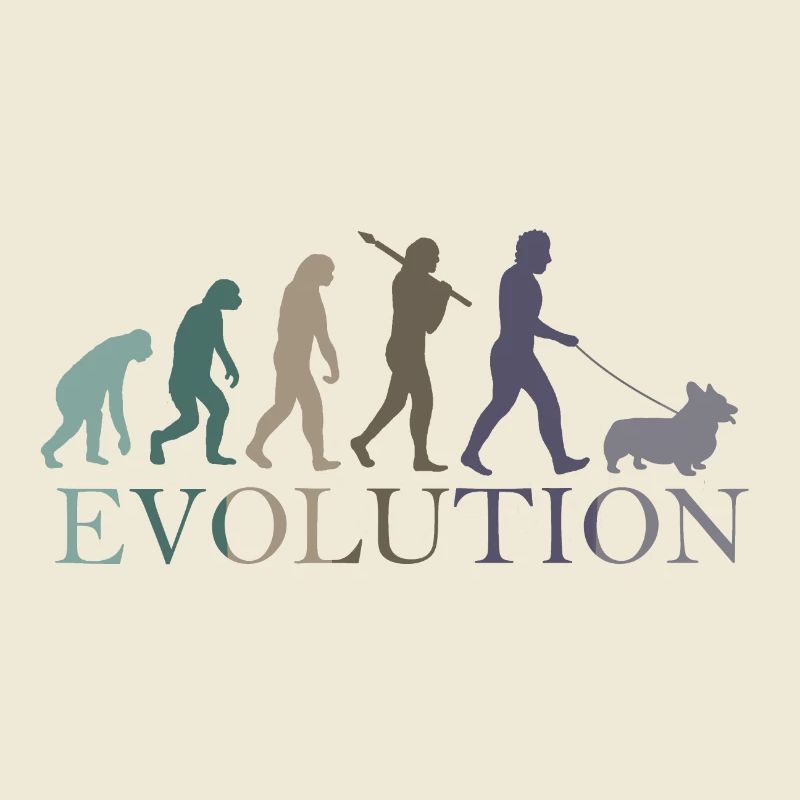 DIE EVOLUTION DER CORGA