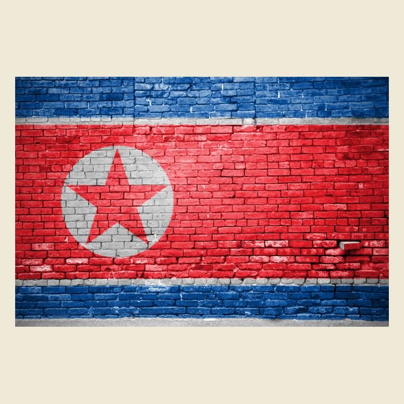 Drapeau de la Corée du Nord Graffiti sur mur de briques