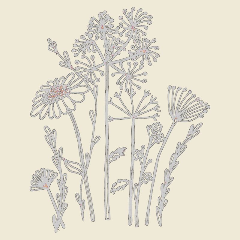 Fleurs séchées