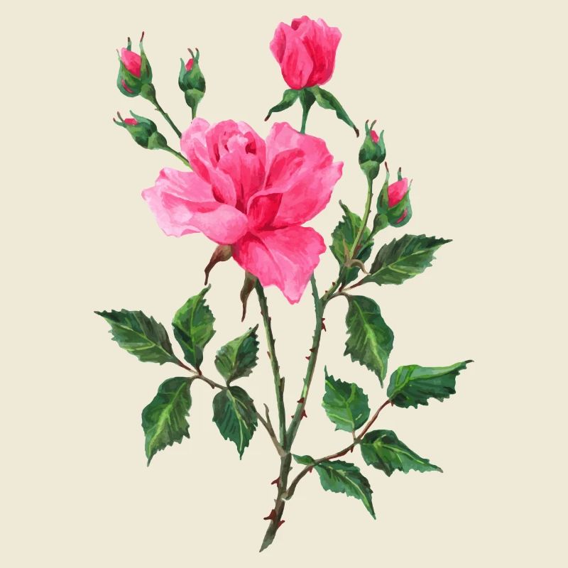 Fleur