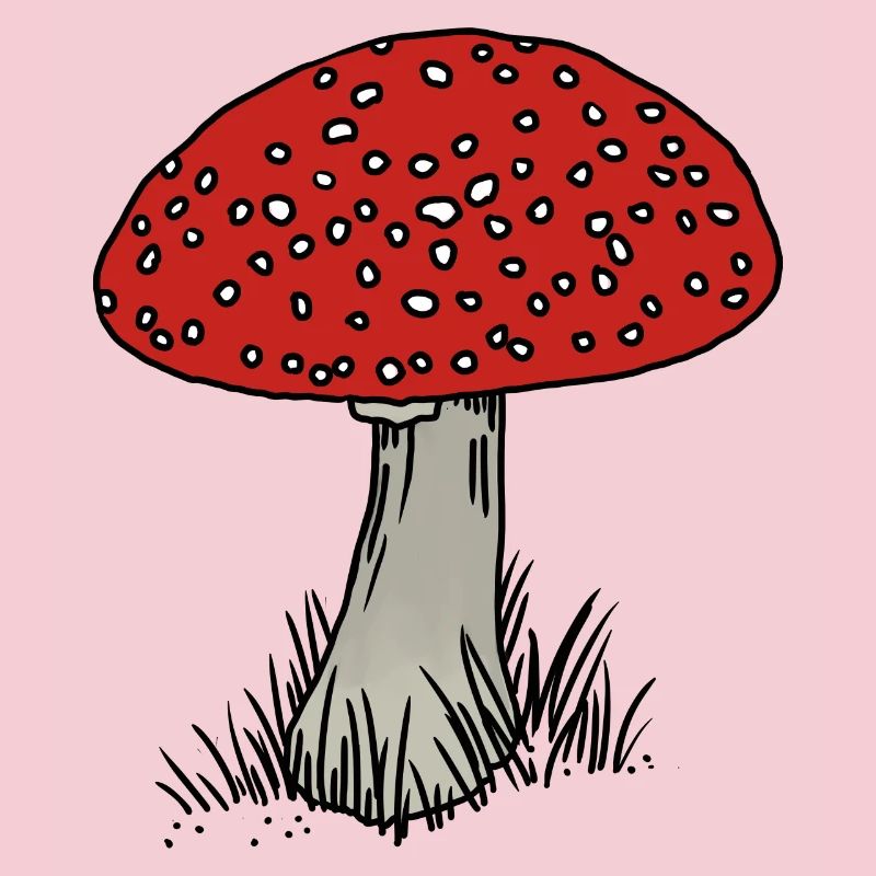 Toadstool coloré