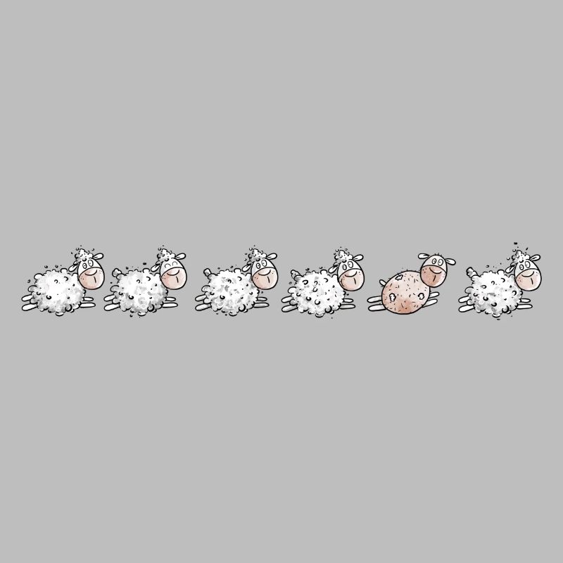 Sheep Flock and sheared sheep