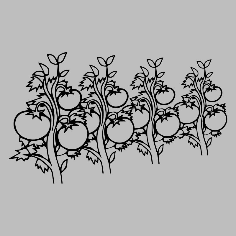 vegetable tomatoes