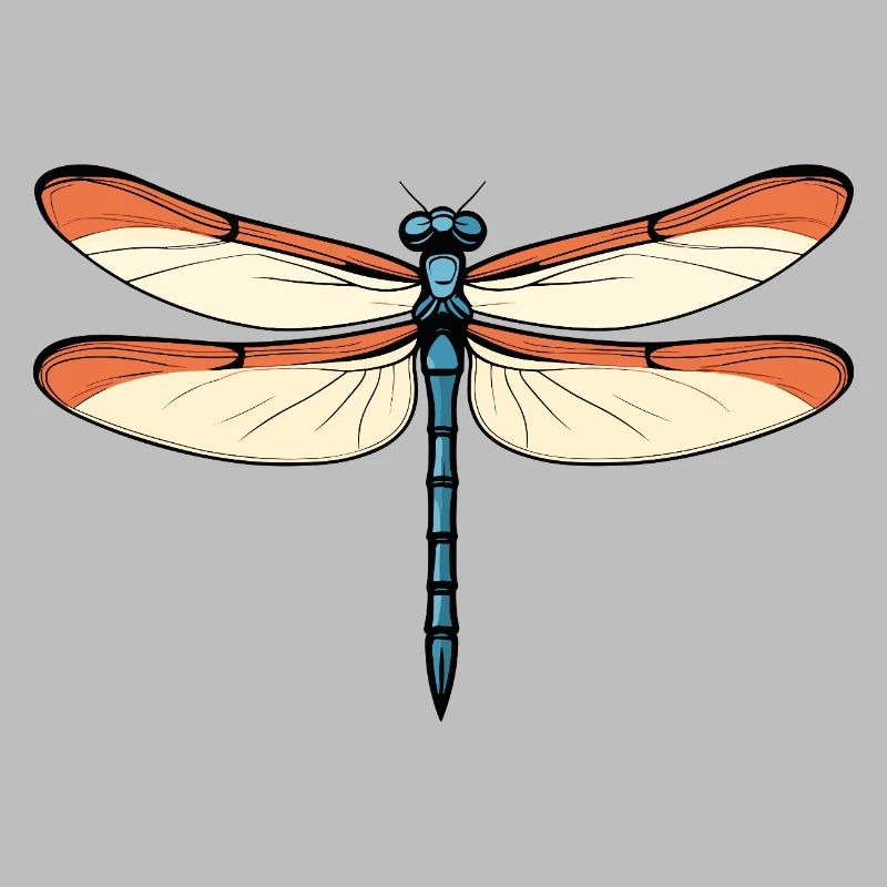 Libellule bleu-orangée