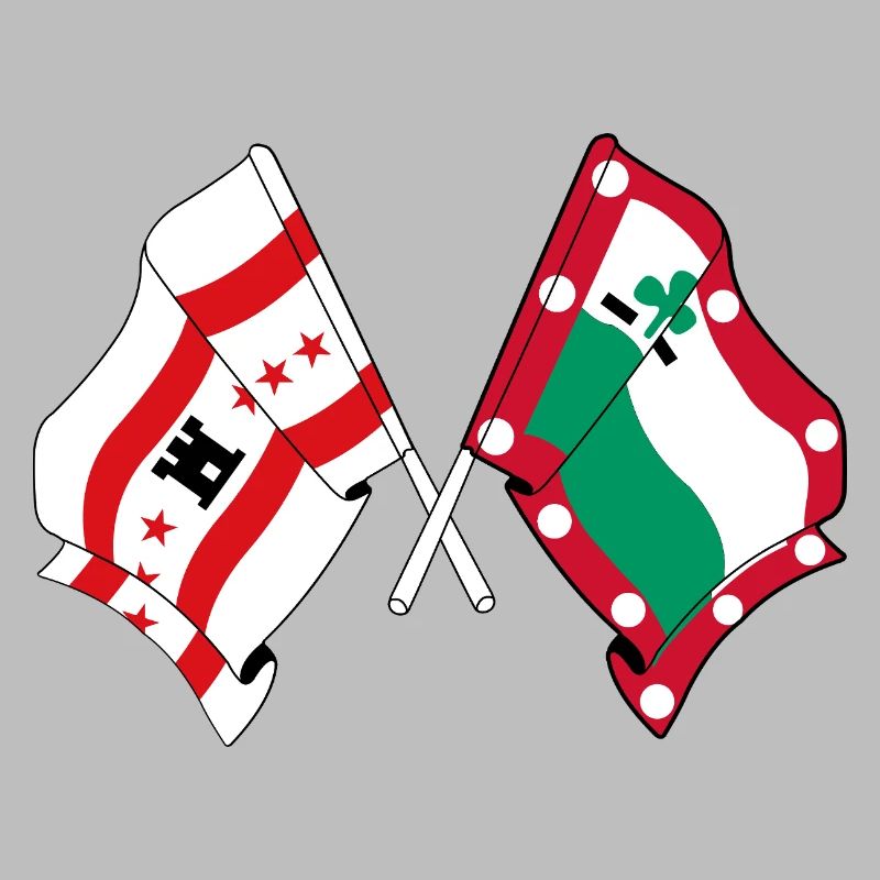 Meppel & Drenthe Flags – Regional Pride