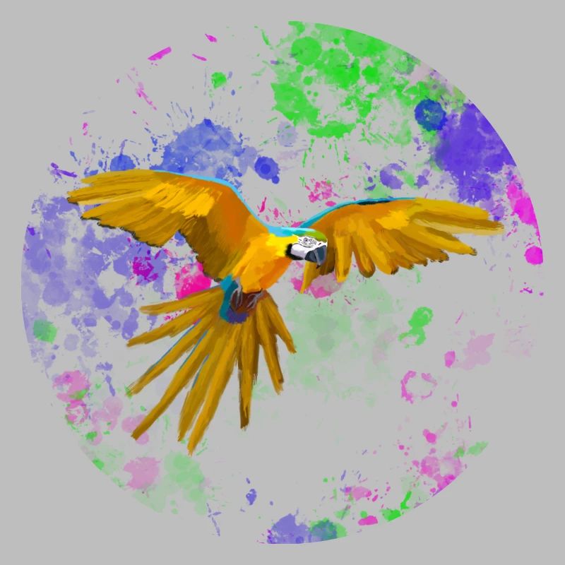 Macaw flight before paint splashes