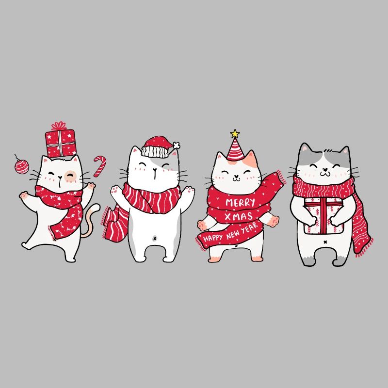 Chat à Noël