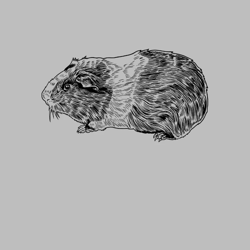 Dessin au trait d’un cochon d’Inde
