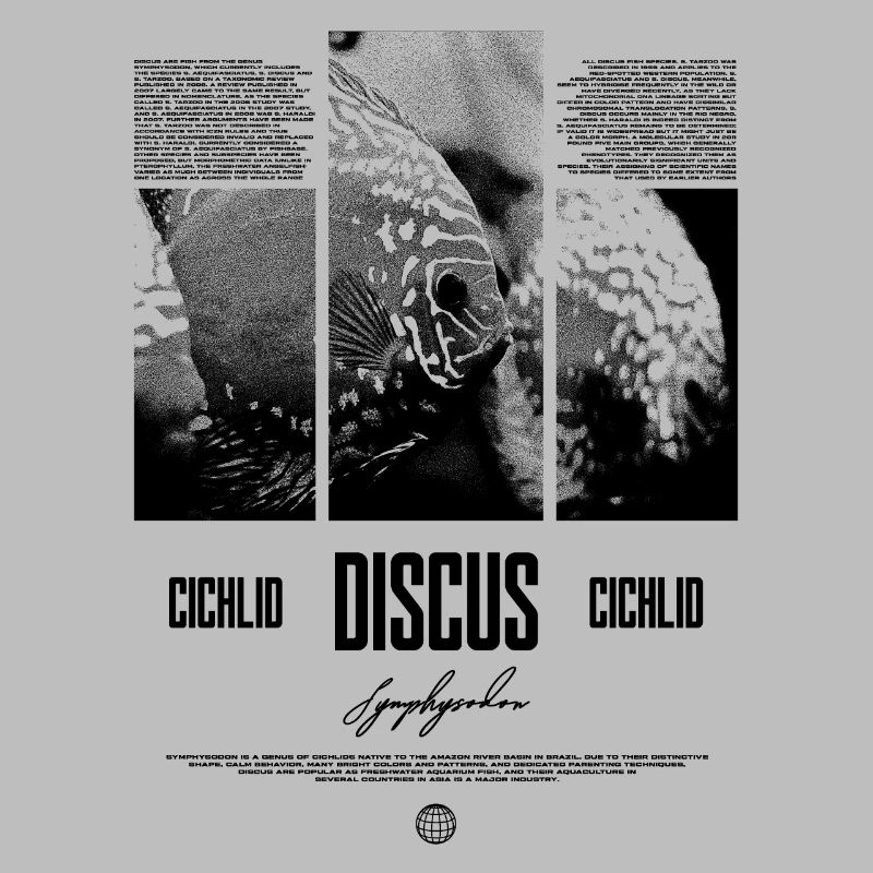 Discus Cichlidé Aquarium Fish Keeper