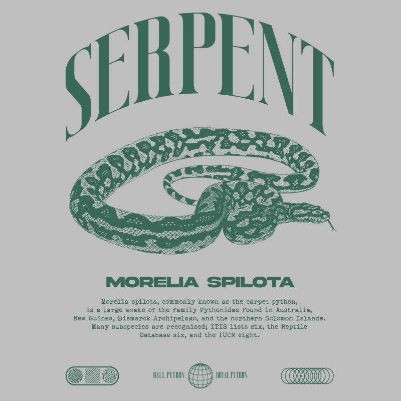 Tapis Python Moderne Reptile Keeper Streetwear