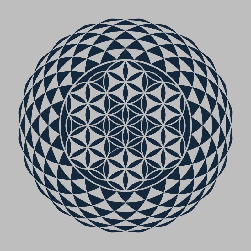 Torus, Sacred Geometry