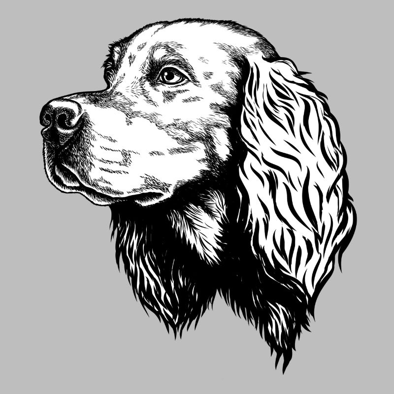 Gordon Setter Portrait