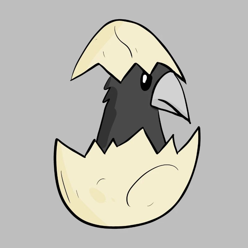 Bébé corbeau