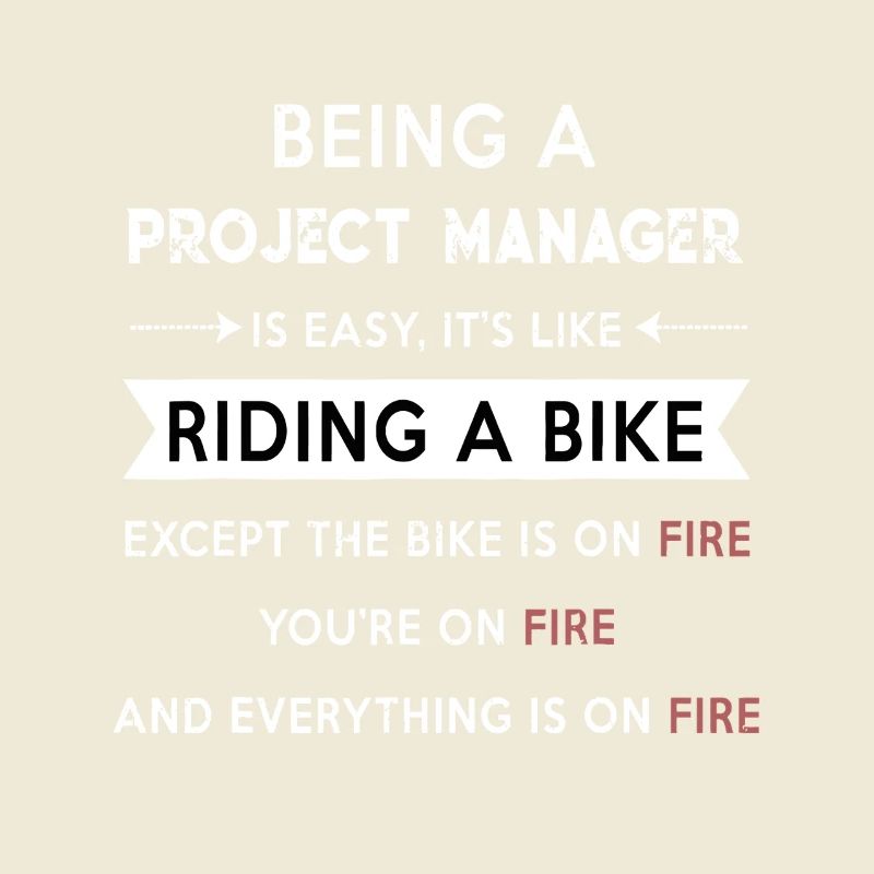 Project Manager on Fire