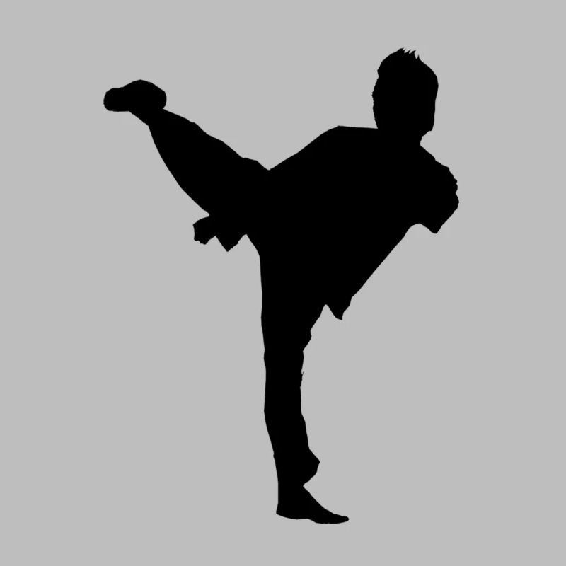 Bruce Lee Shadow Sidekick