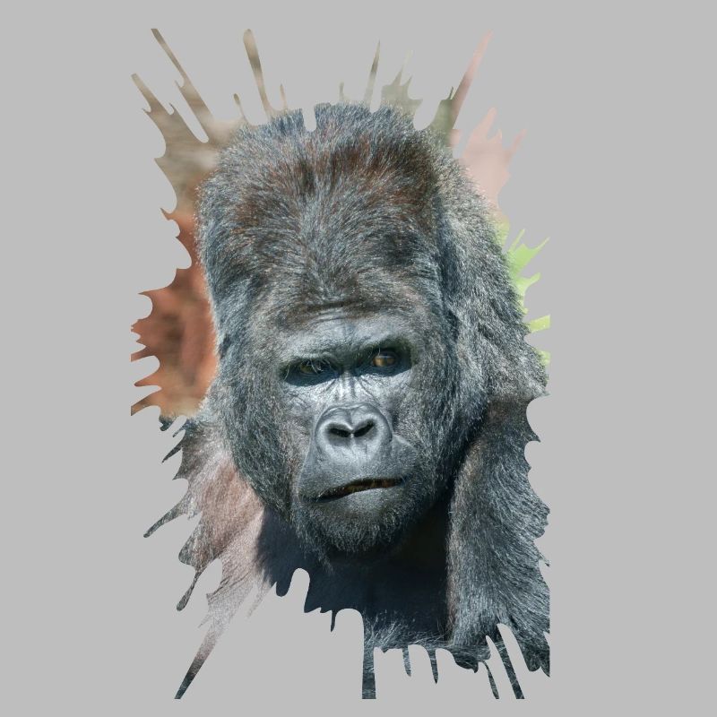 Auffällige Pose von Silverback Gorilla Dishi