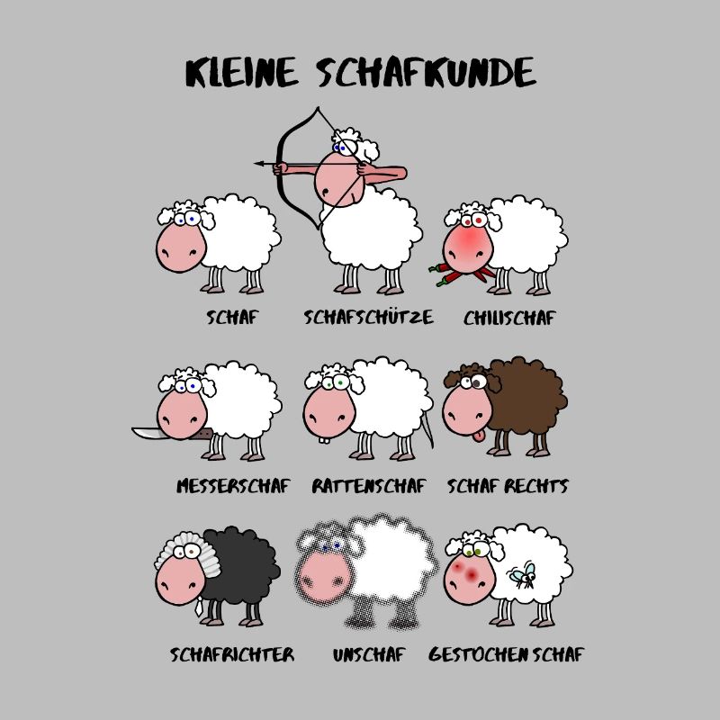 A little sheep knowledge