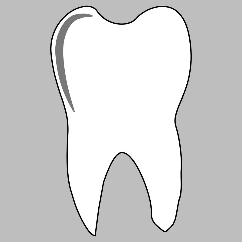 molar tooth