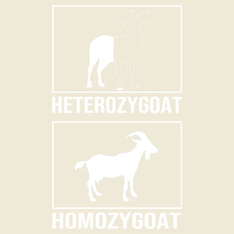Molecule Structural Formula