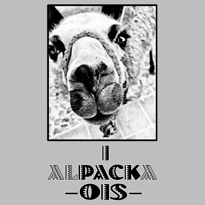 ALPACA - i pack ois - I can do everything - dialect