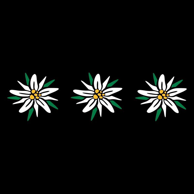 Edelweiss