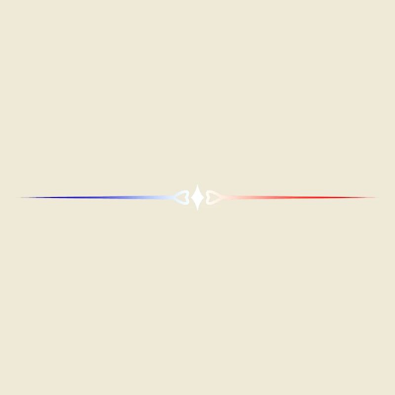 French flag