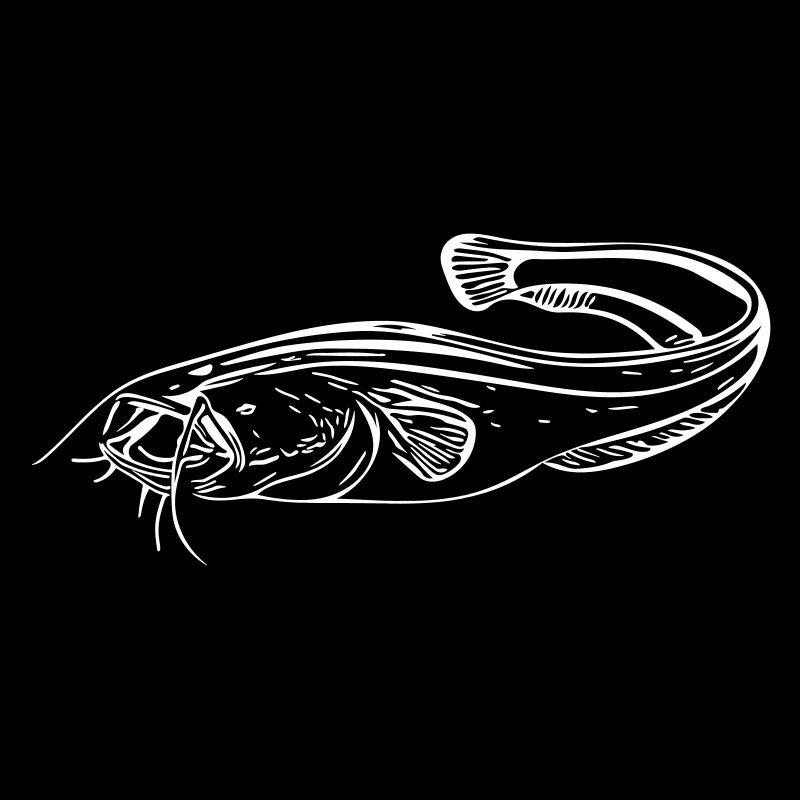 Catfish - angler
