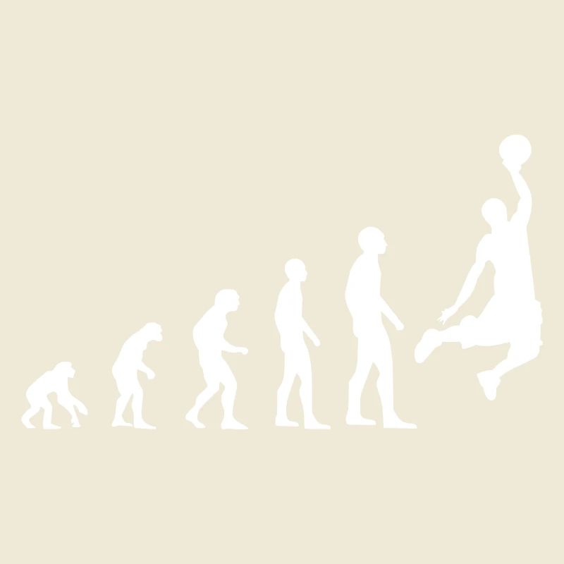 Evolution du basket