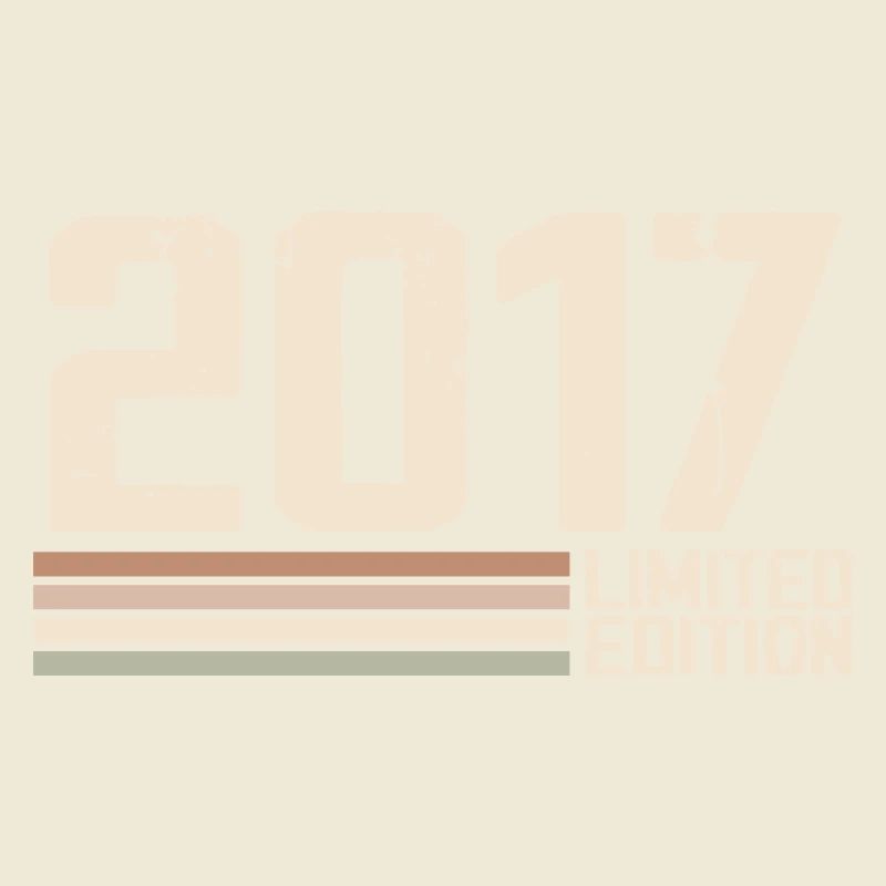 2017 Jahrgang 2017 Geburtstag 2017 Retro 2017