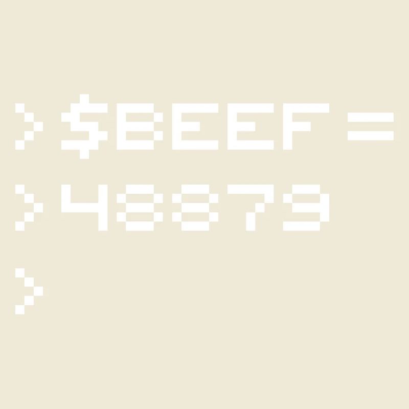 BEEF 8-Bit Code Nerd Pixel Terminal Retro