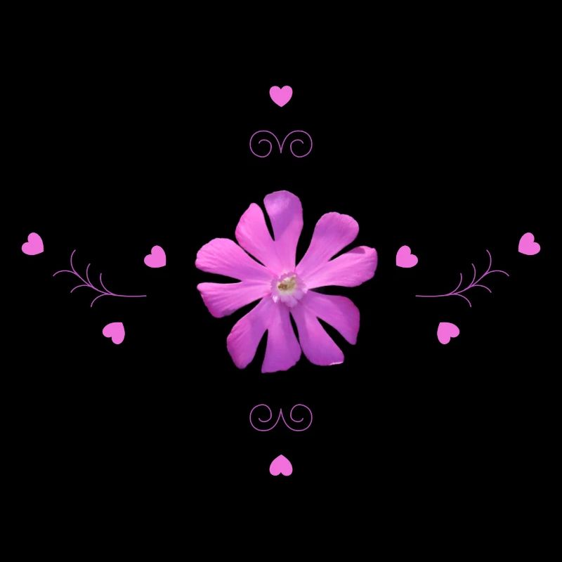 Carnation Pink Flower