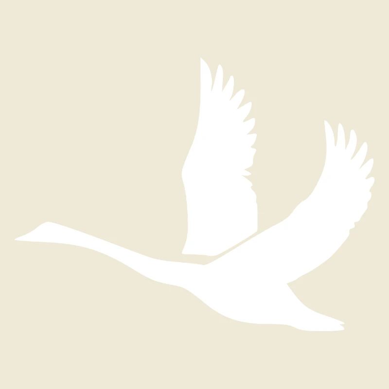 Schwan mit gewaltigen Schwingen