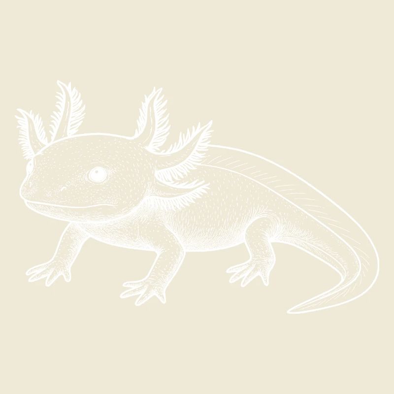 Axolotl Line Style – White