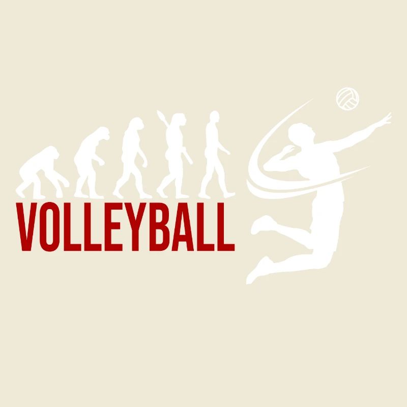 Evolution Volleyball