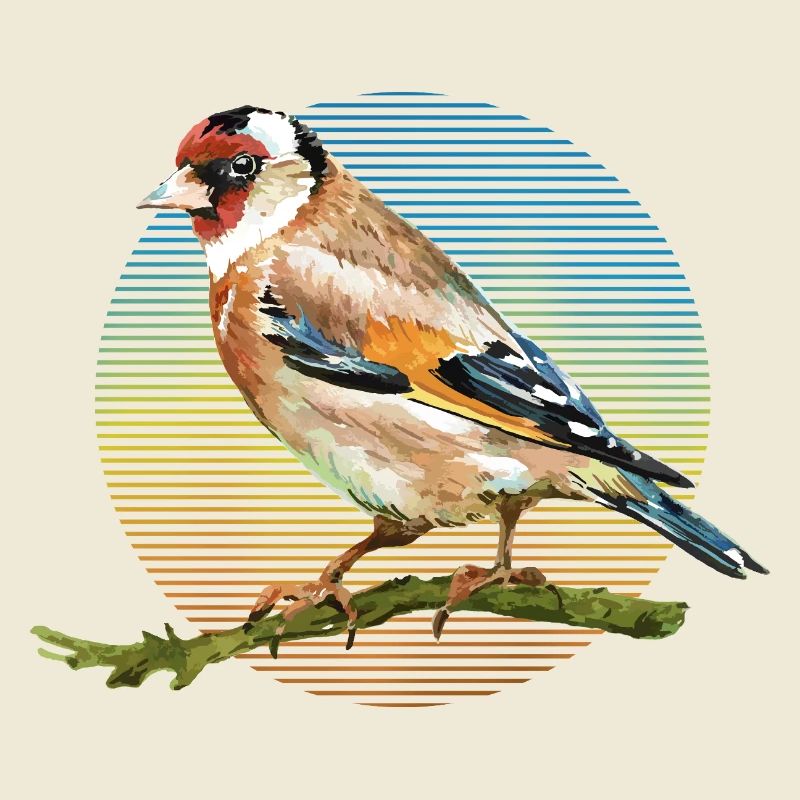 Oiseau coloré