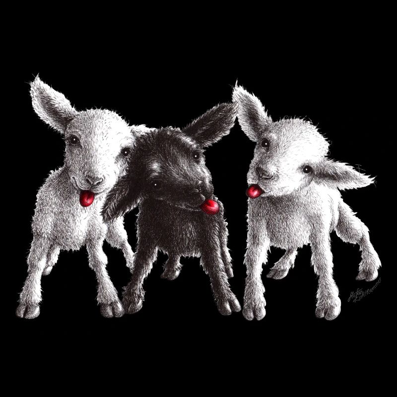 cheeky sheep