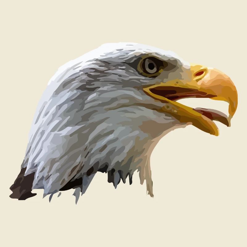 bald eagle
