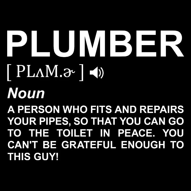 Plumber Definition