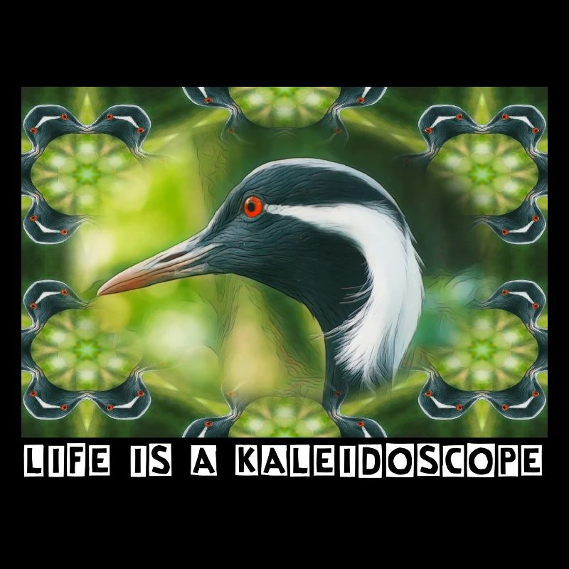 Kaléidoscope