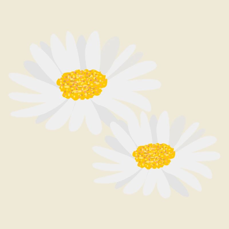 Blume Gänseblümchen